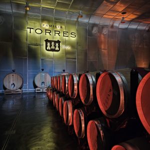 Caves Torres – Auditorios y Salas