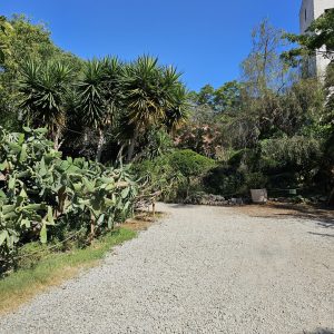 Palo Alto – Terrace