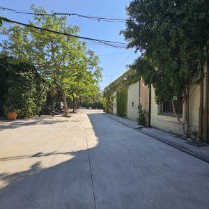 Palo Alto – Terrace